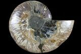 Cut Ammonite Fossil (Half) - Agatized #79159-1